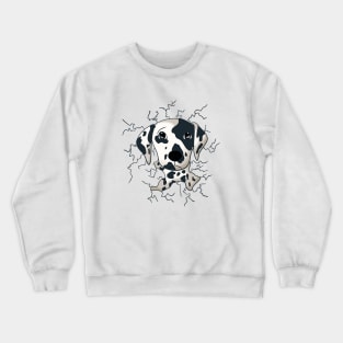 Dalmatian dog lover,animal lover Crewneck Sweatshirt